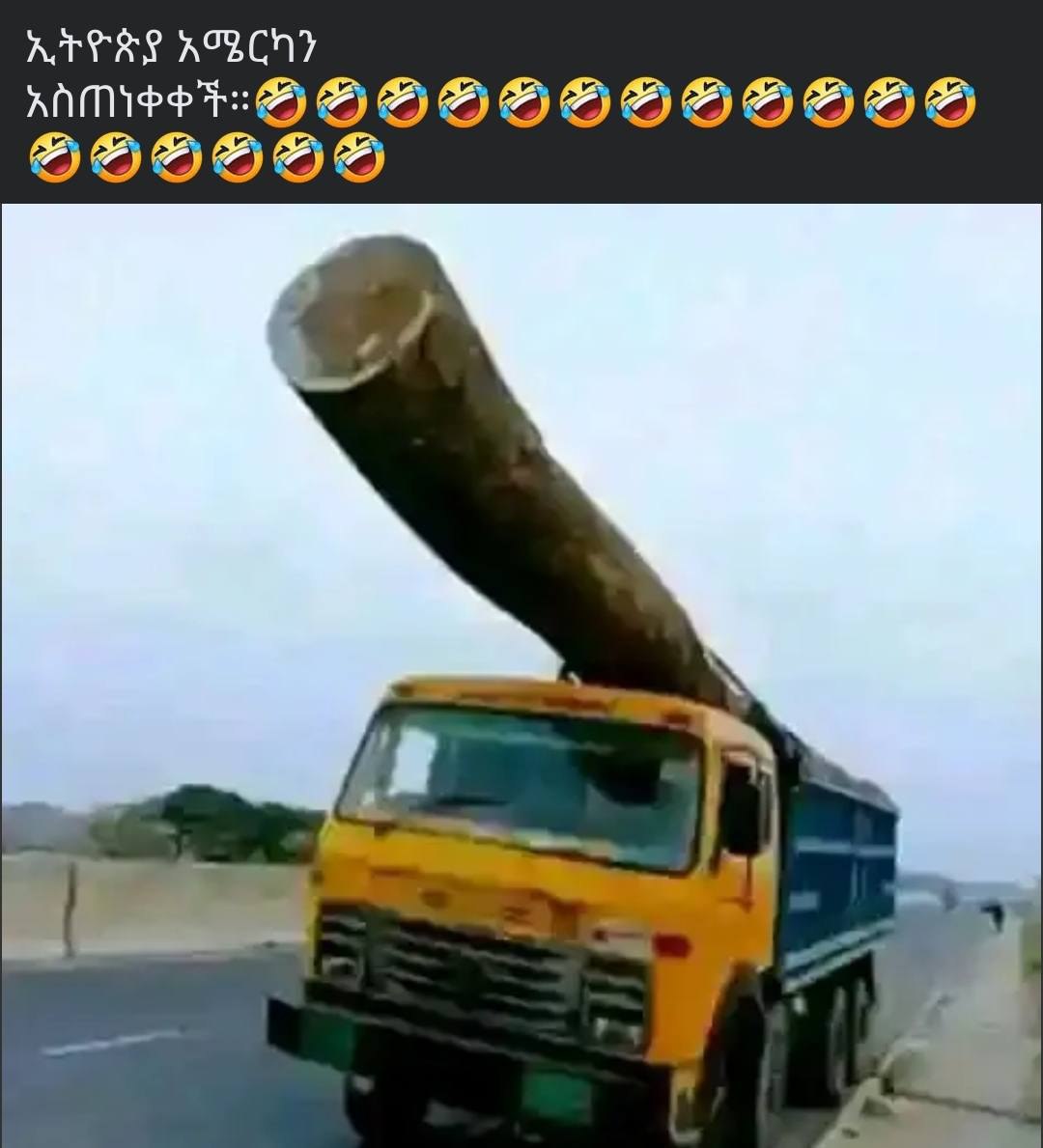 a truck with a large log on the back
